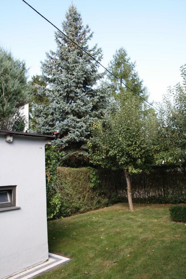 Villa Ilava Iława Exterior foto